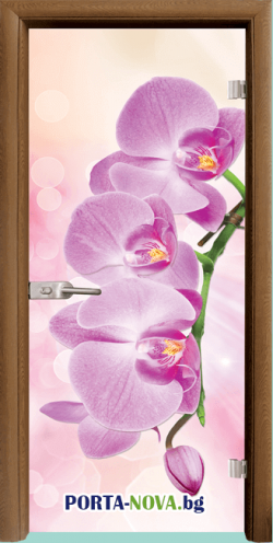 Стъклена интериорна врата, Print G 13-3 Pink, каса златен дъб