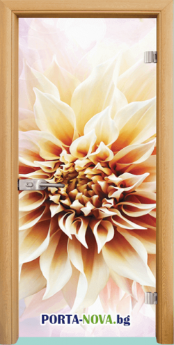 Стъклена интериорна врата, Print G 13-5 каса светъл дъб