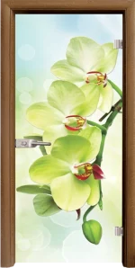 Стъклена Врата Standart Print G 13-3 Green Златен Дъб