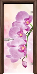 Стъклена Врата Standart Print G 13-3 Pink Орех